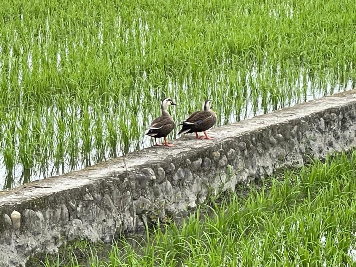 方興top會館 全新包棟電梯民宿 Sanxing Bagian luar foto